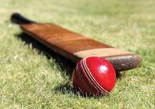 Cricket GPT